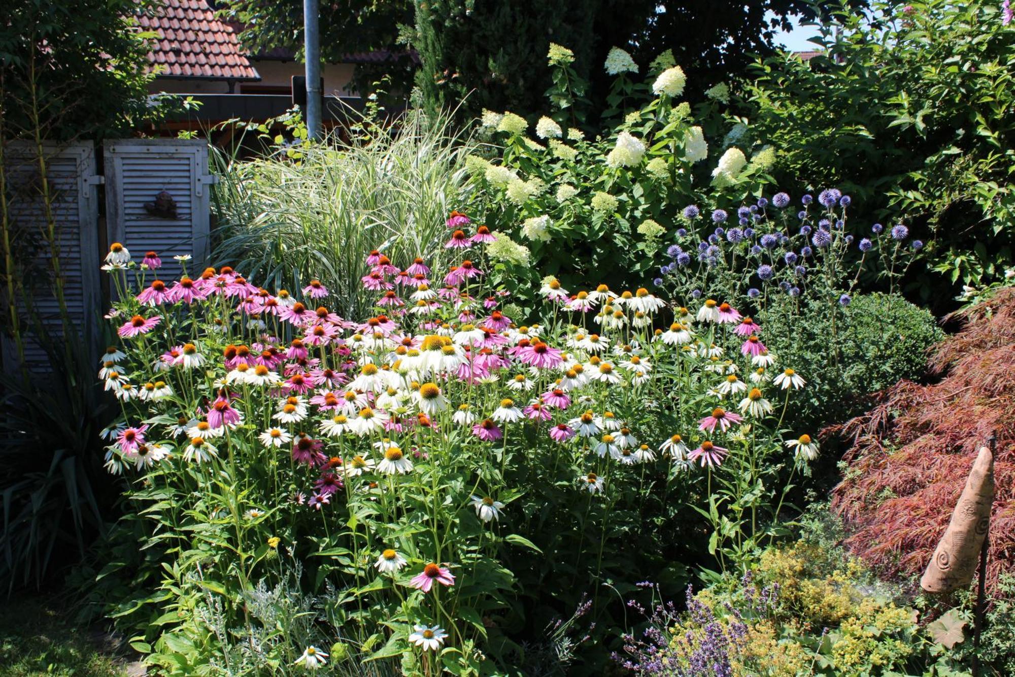 Apartment Im Garten Gengenbach Dış mekan fotoğraf